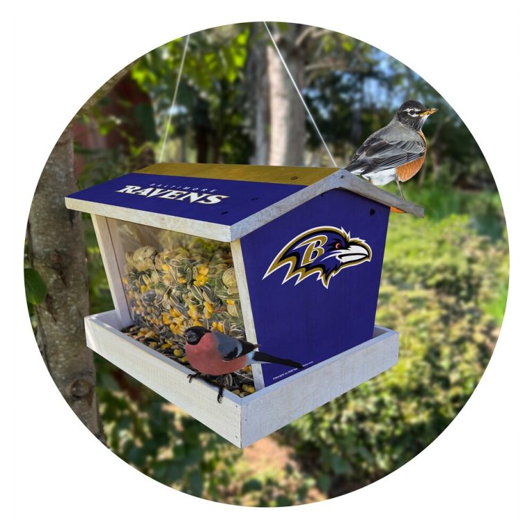 RAVENS @HOME: Top 3 Décor Picks